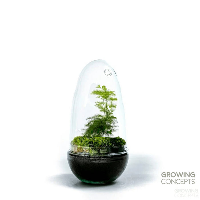 0fa7205b-a232-4622-b9d1-d03c0223940b-afbeelding12.jpg (1620937) 