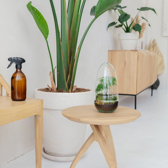 Egg Medium - Asparagus - ↑25cm | ø12cm