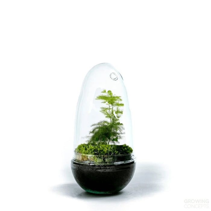 0fa7205b-a232-4622-b9d1-d03c0223940b-sfeerbeeld.jpg (1620945) 