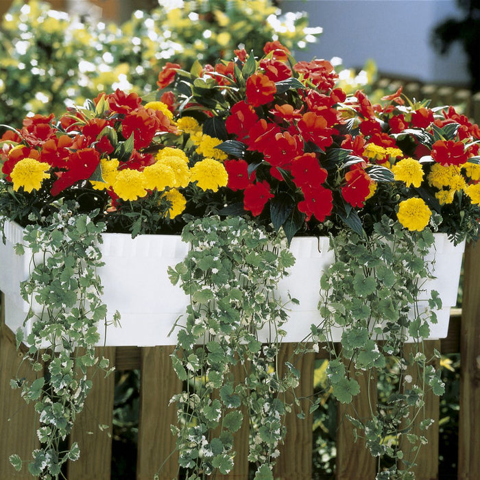 Gardena MicroDrip Volautomatische bloembakbesproeiing