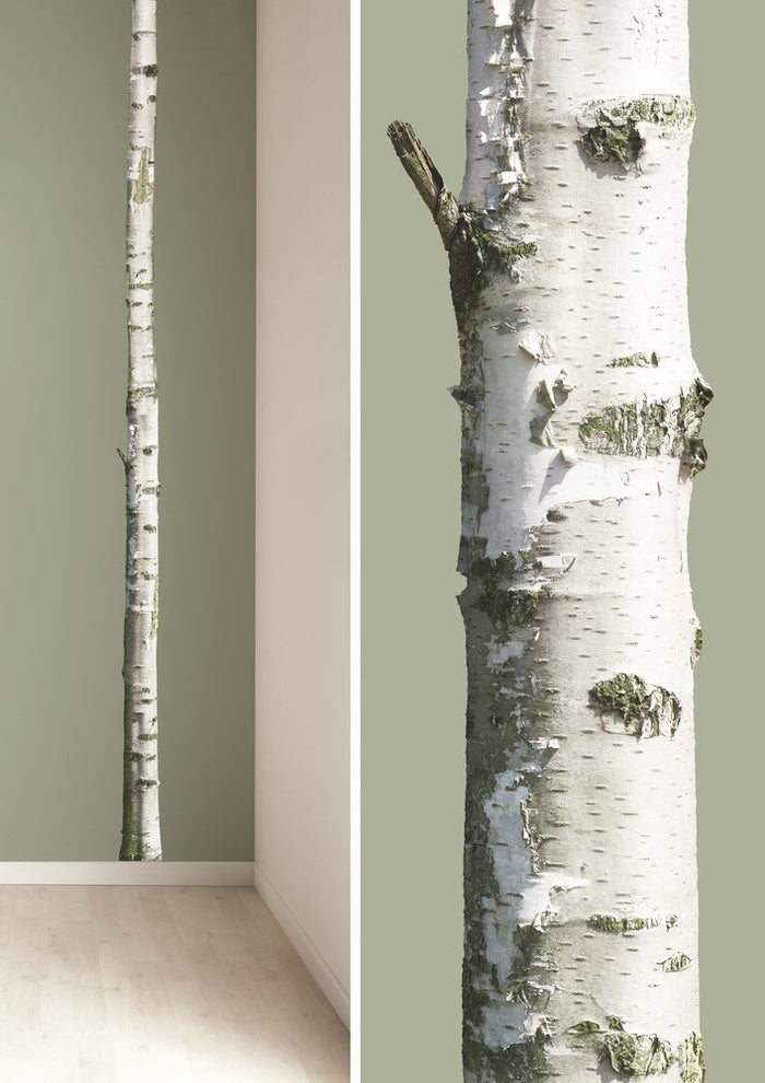 119252-2.jpg (1654286) 