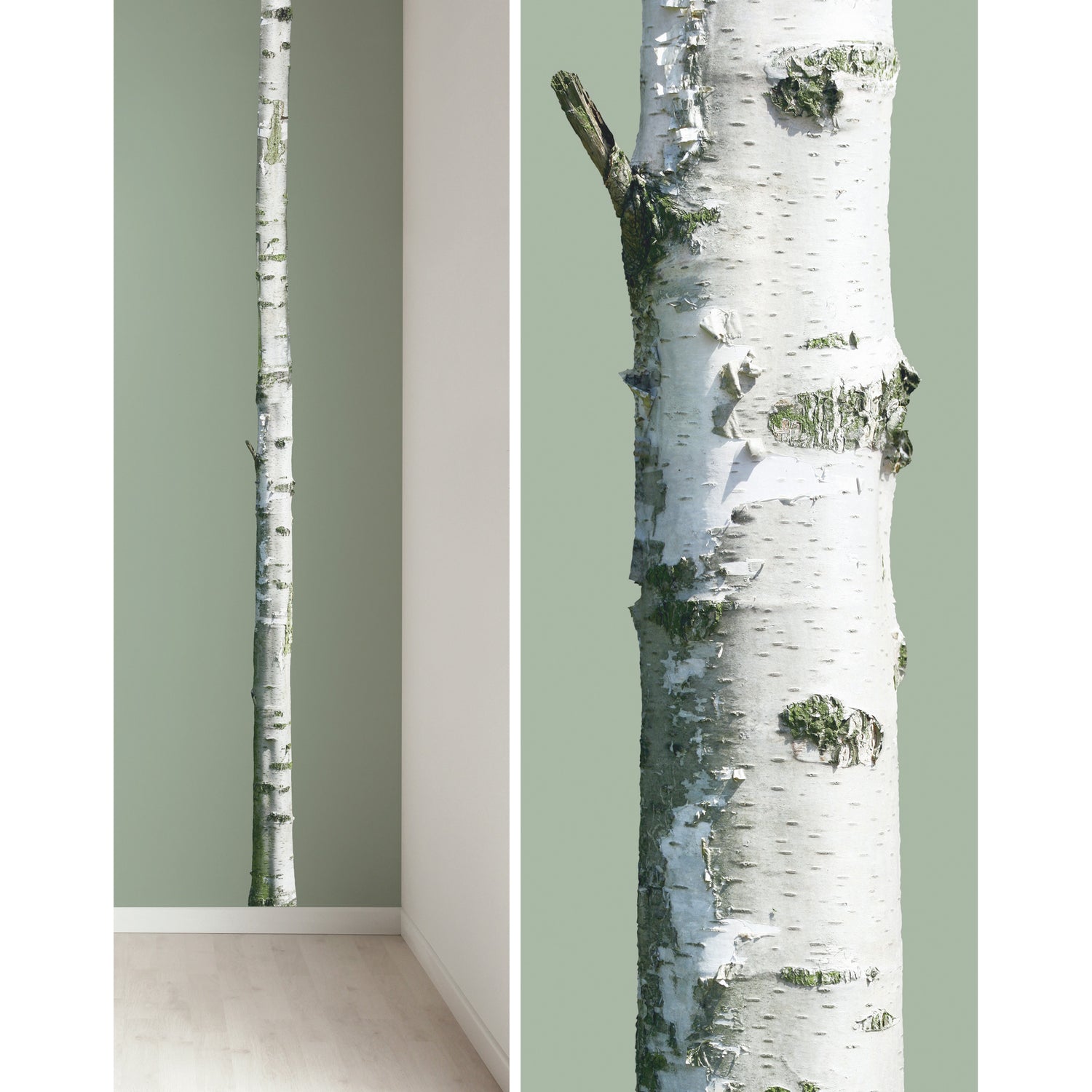 119252-x01.jpg (1654287) 