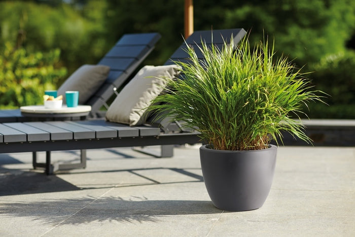 Elho Pure Soft Round Bloempot 30 cm