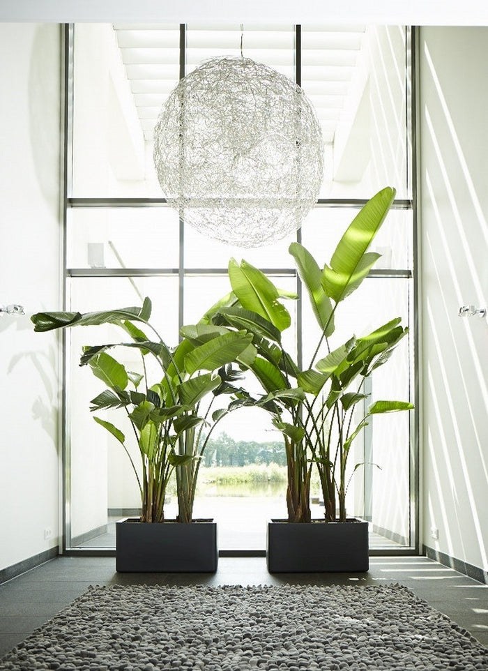 Elho Pure Soft Brick Long Plantenbak 80 cm