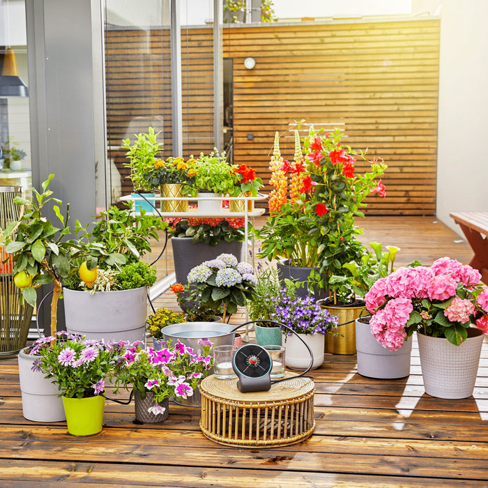 Gardena Vakantiebewateringsset AquaBloom