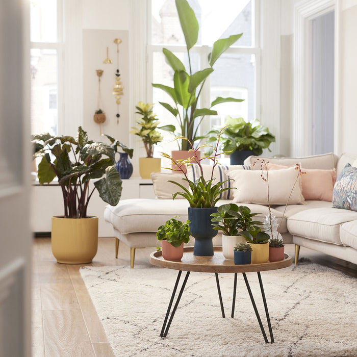 306273-x07.jpg (1700534) 