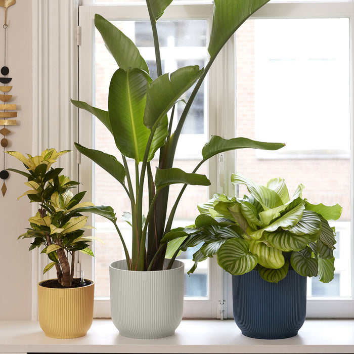 306275-x01.jpg (1704785) 