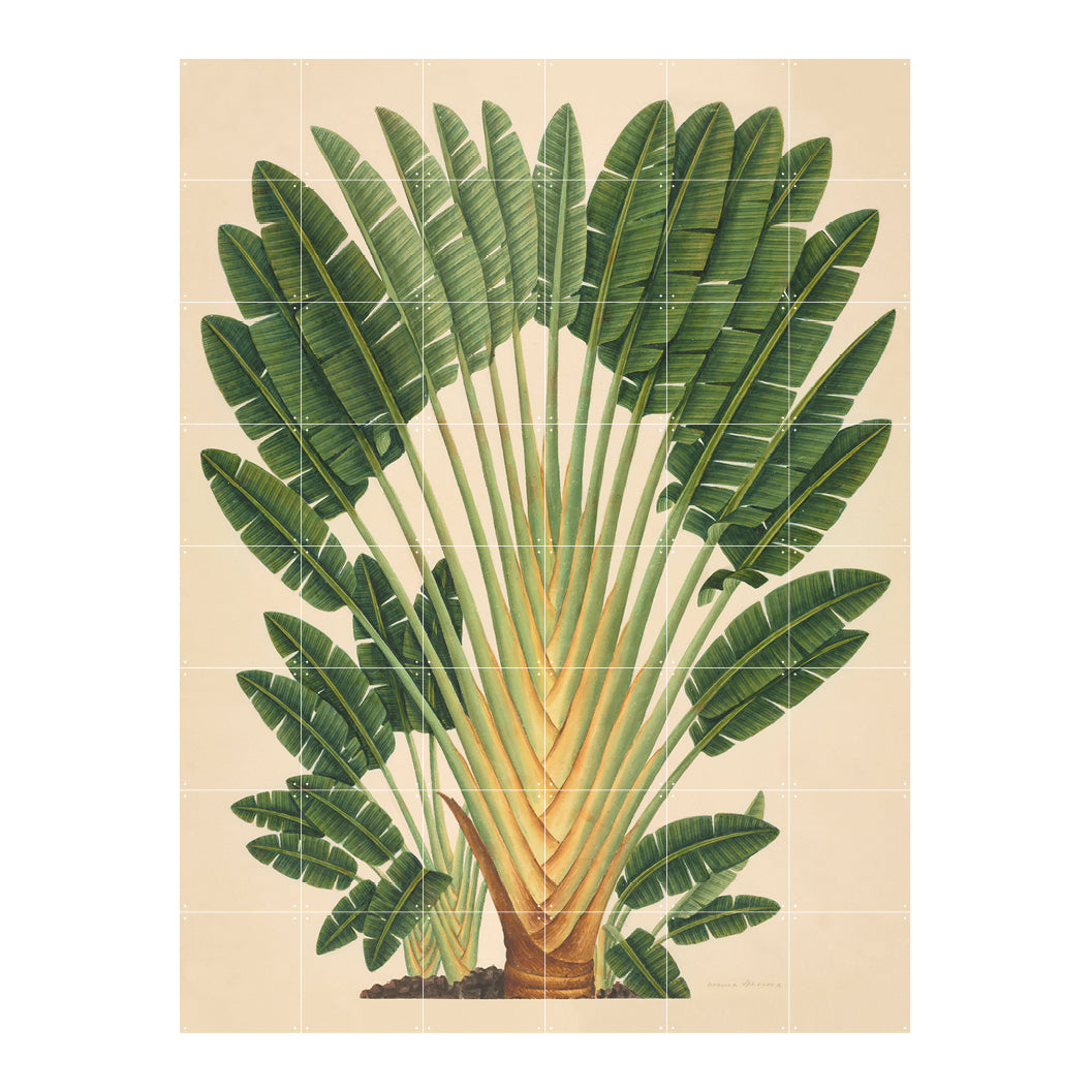 307278-x0.jpg (1711091) 