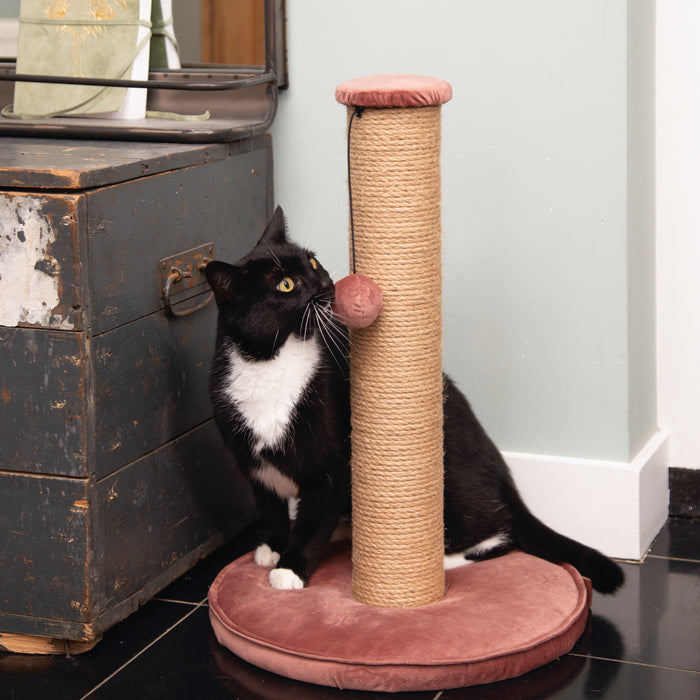 280282-x1.jpg (1717658) 