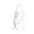Seletti Monkey Outdoor Lampresin Hanging