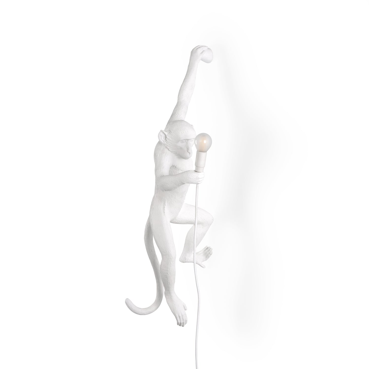 Seletti Monkey Outdoor Lampresin Hanging