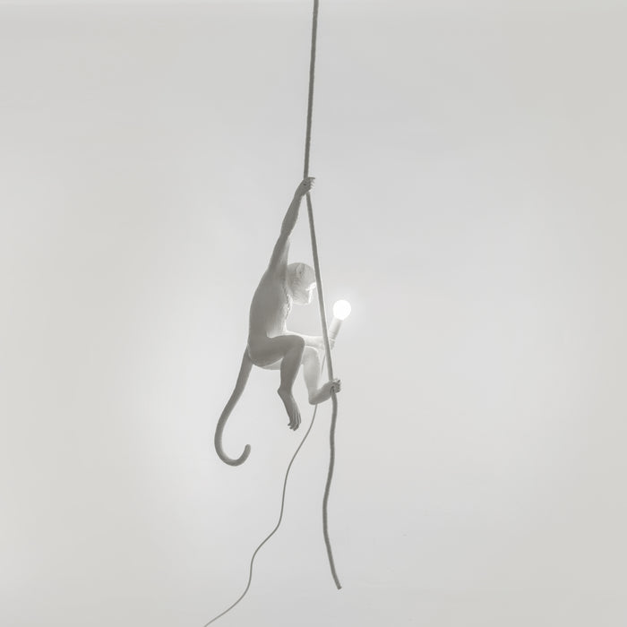 Seletti Monkey Outdoor Lampresin Aan Touw
