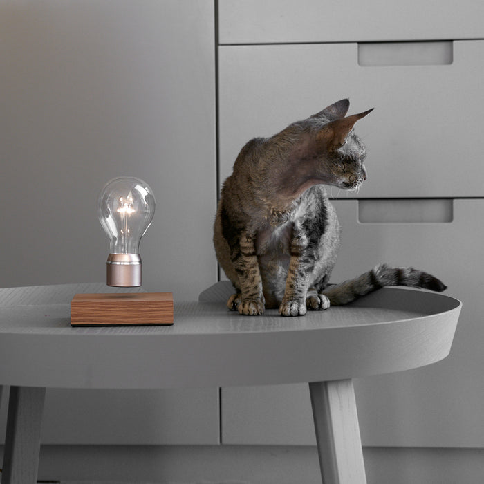 FLYTE Buckminster Zwevende Tafellamp