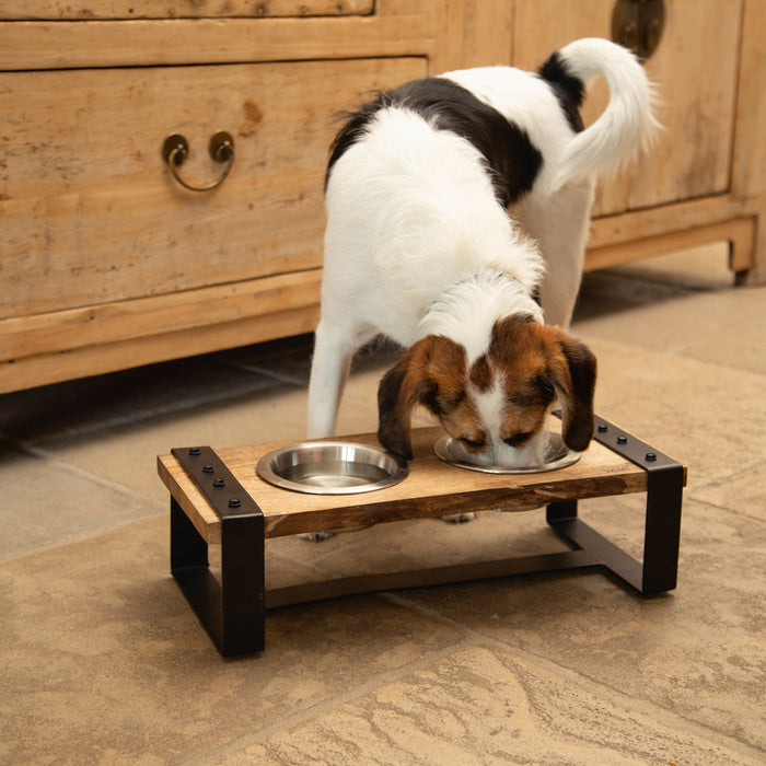 Designed by Lotte Karinto Voerbak Hond