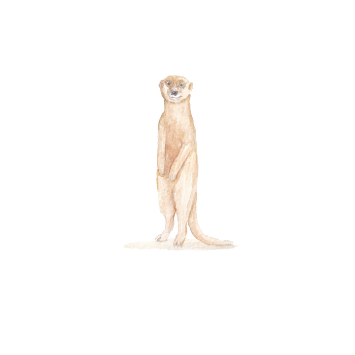 Muursticker stokstaartje