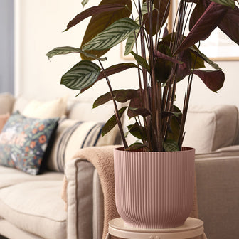 306287-x01.jpg (1729901) 