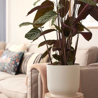 306289-x01.jpg (1734307) 