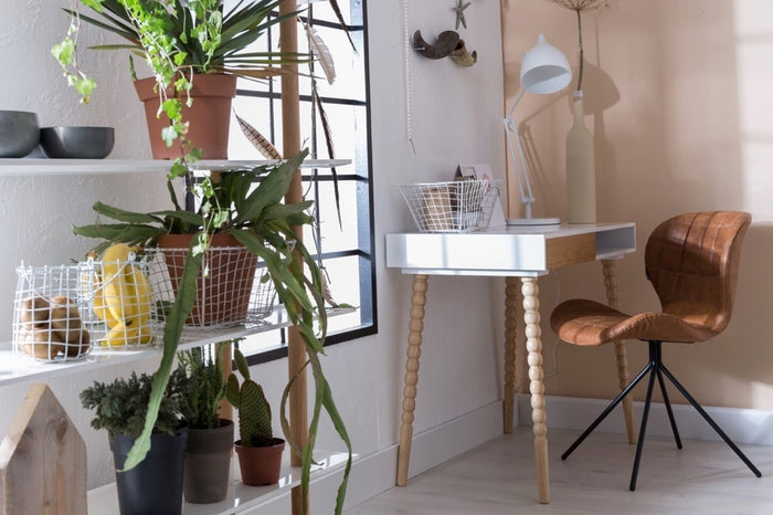 144293-4.jpg (1740642) 