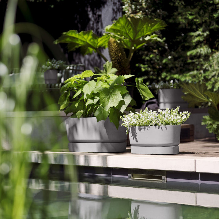 Elho Greenville Bloembak met Wielen 60 cm