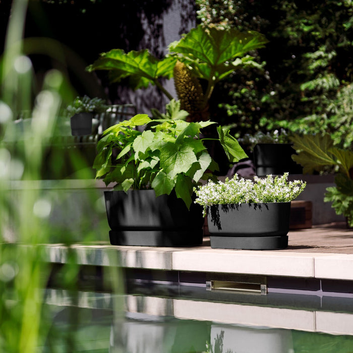 Elho Greenville Bloembak met Wielen 60 cm