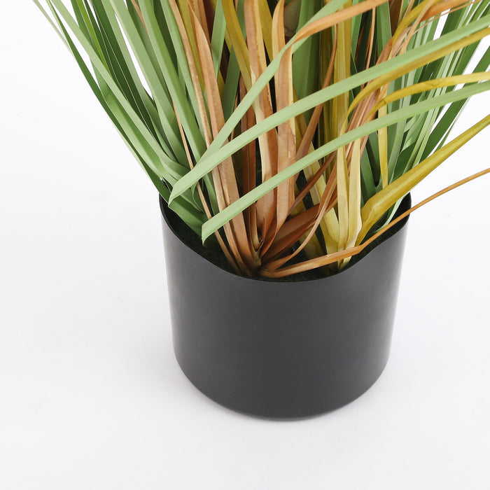 28e08fa3-ebca-42e4-9381-42c06989875e-afbeelding11.jpg (1769938) 