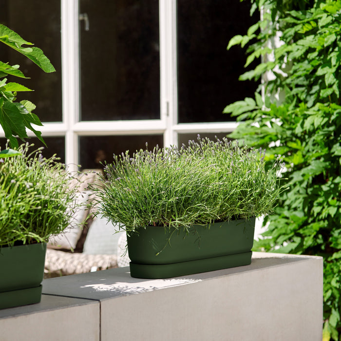 elho Greenville Bloembak 70 cm