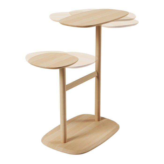 295314-x10.jpg (1782355) 