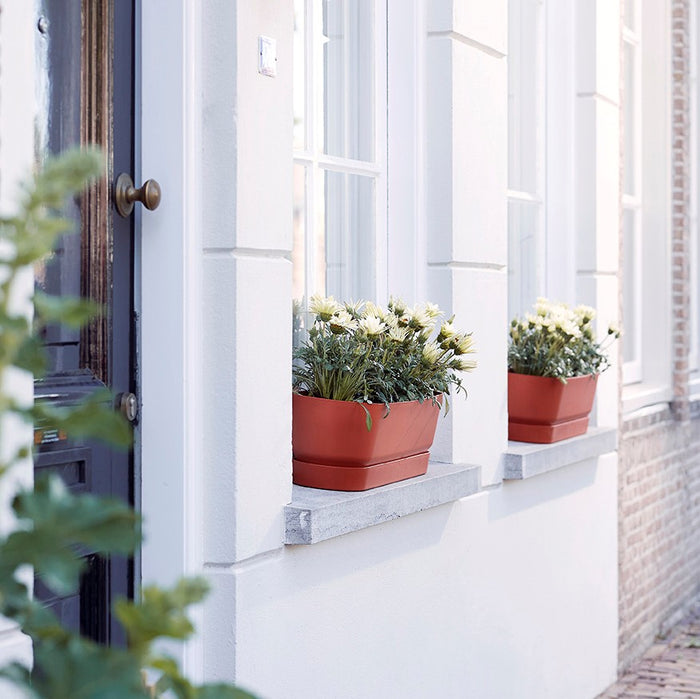 Elho Greenville Bloembak 70 cm