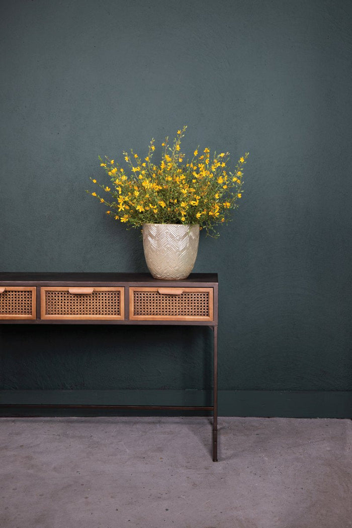 d3374750-0595-4b50-8097-a6de31f4fb73-afbeelding3.jpg (1811082) 