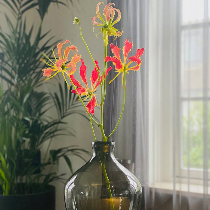 300332-x03.jpg (1821689) 