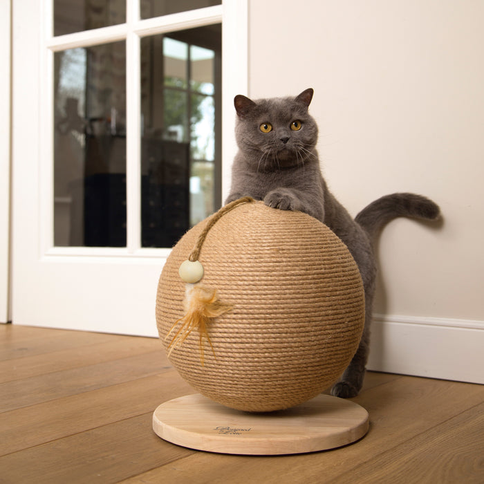 181357-x01.jpg (1911299) 