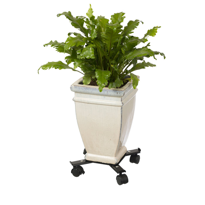 288358-x05.jpg (1915545) 