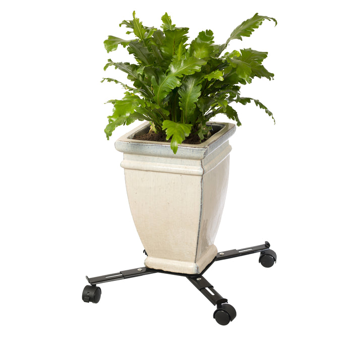 288358-x06.jpg (1915547) 