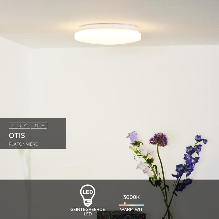 282fa9ce-f97c-42f0-915c-c0d0f7b0b0da-sfeerbeeld.jpg (2057542) 