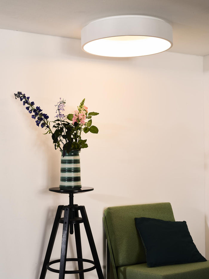 07c7ba95-af0f-4e2c-bf2f-daaa0ad8737c-afbeelding4.jpg (2066773) 