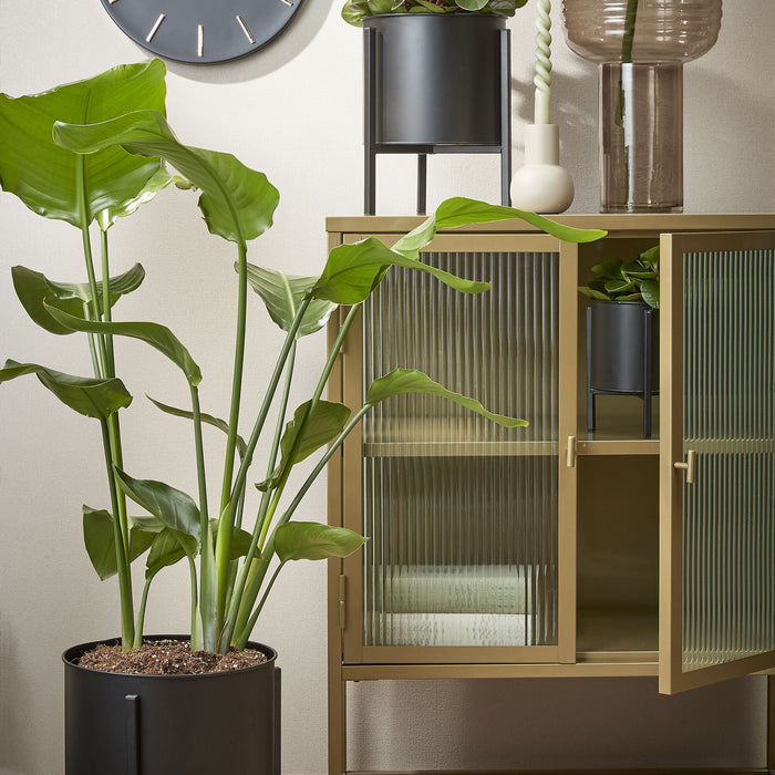 8fc2abca-fa11-44f6-afcb-9694aaad05c9-sfeerbeeld.jpg (2074833) 