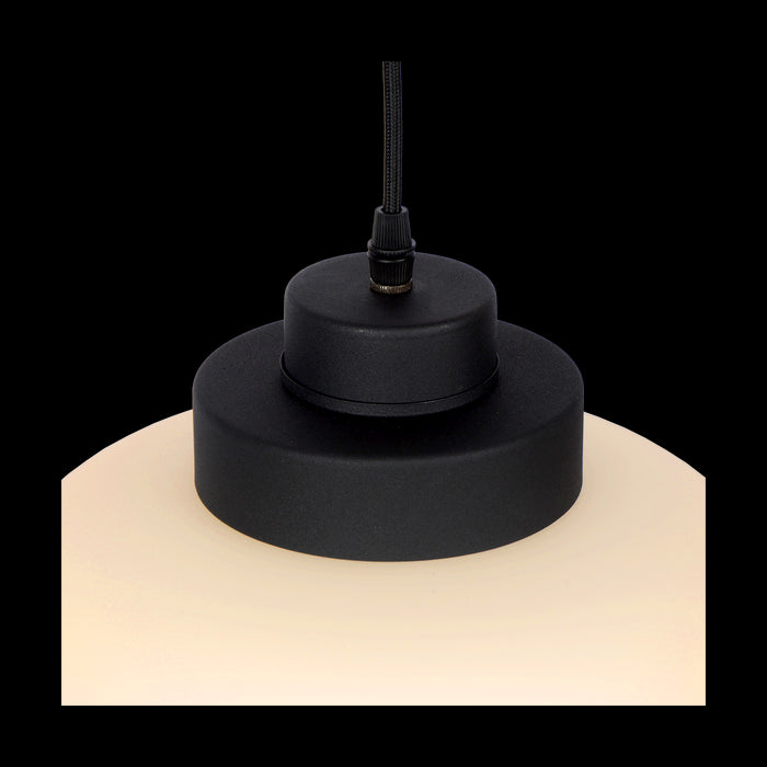 4b861caa-3a95-4b47-bf30-1d19413cd0ba-afbeelding5.jpg (2088552) 