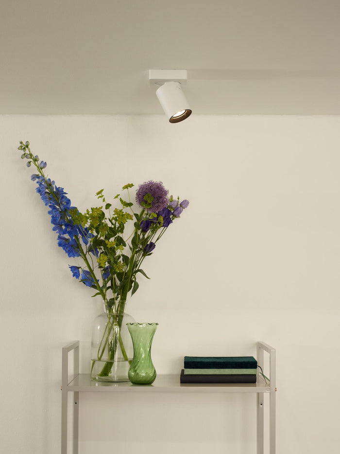 86e0d250-9637-46fd-984a-f8ac33a8970f-afbeelding4.jpg (2129420) 