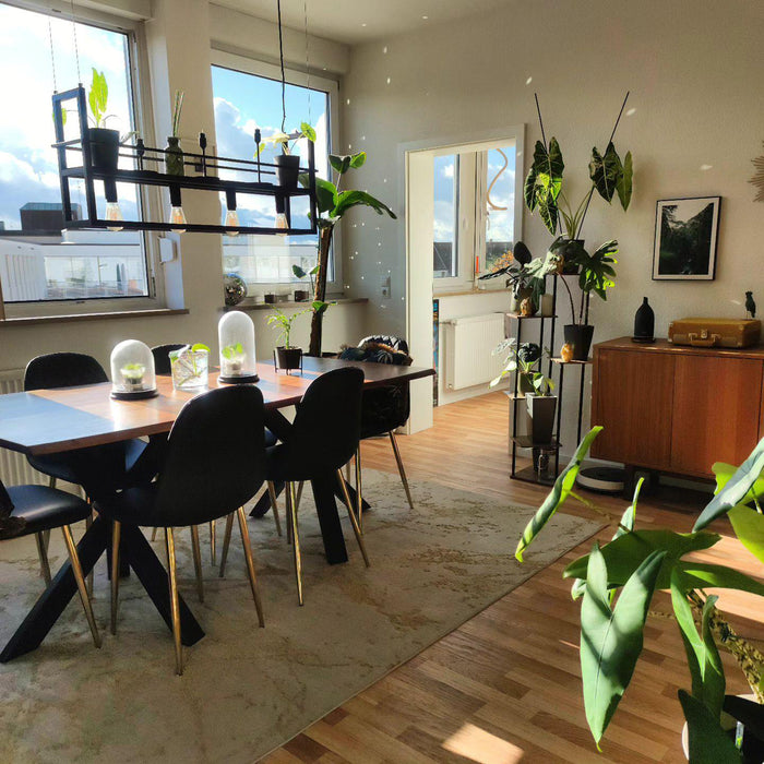 QAZQA Industriële hanglamp zwart met 4-lichts rek - Cage Rack