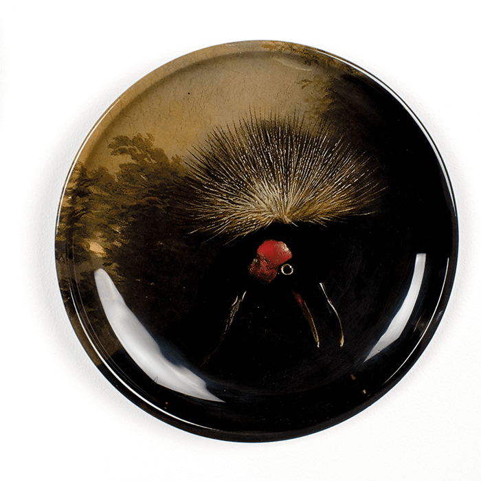 Bold Monkey No Food Here wandlamp (set van 4) birds - Multi colour