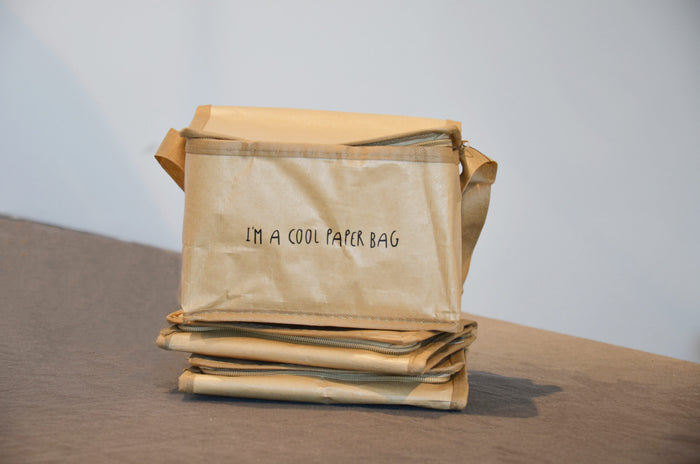 Gusta papieren koeltas (20 centimeter x 14 centimeter x 14 centimeter)