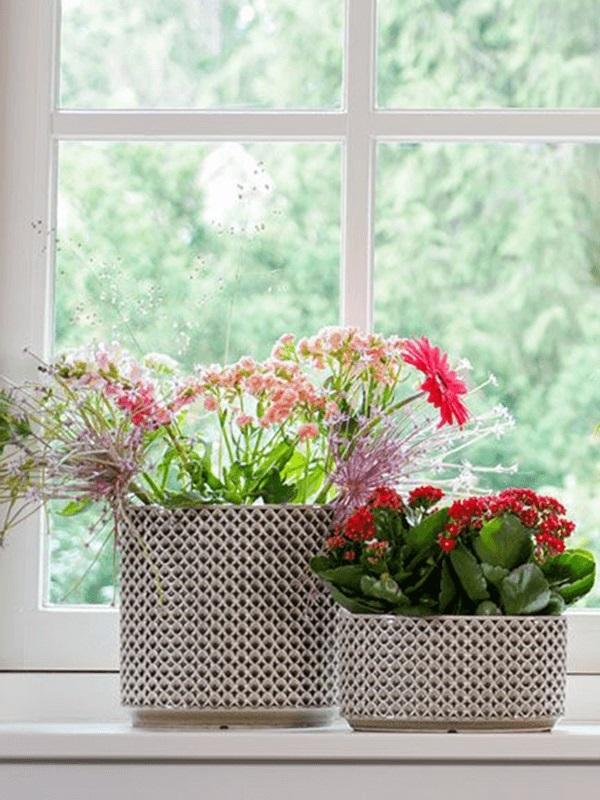 bbc80c9c-3898-4c94-abc6-f88dd04736ab-afbeelding10.jpg (2155670) 