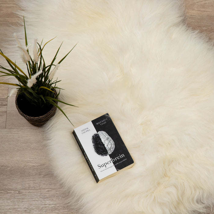 893ca14b-1a84-4a35-aa46-d238dc89f259-afbeelding3.jpg (2215156) 