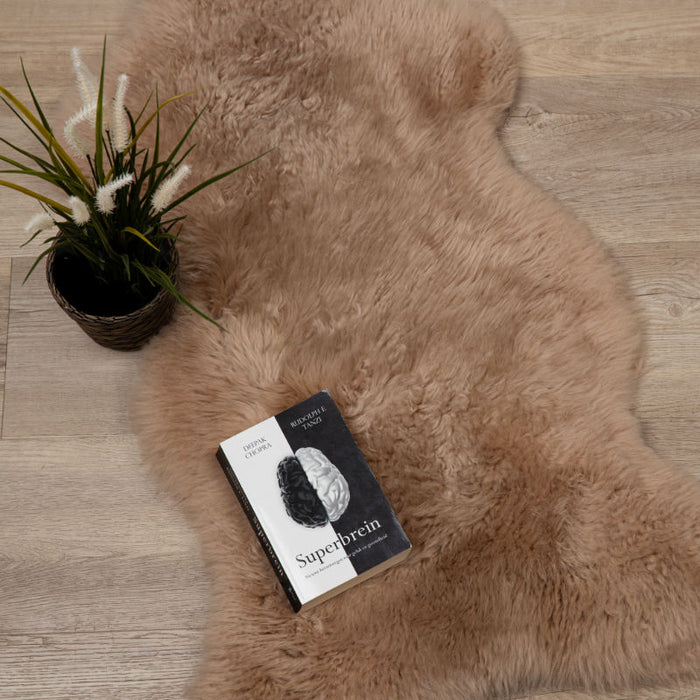 80a4f628-c1e1-4084-bb68-6ccb4f90348a-afbeelding3.jpg (2232025) 