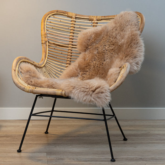 80a4f628-c1e1-4084-bb68-6ccb4f90348a-afbeelding4.jpg (2232026) 