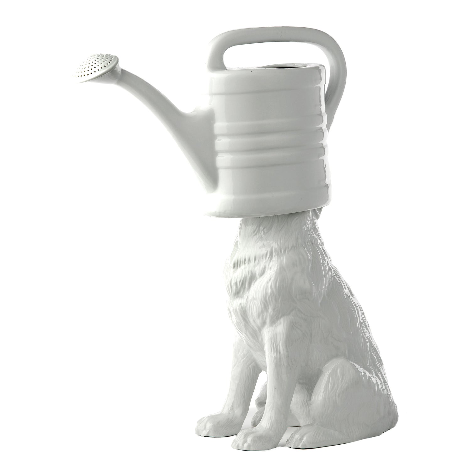 POLSPOTTEN Wolf Gieter