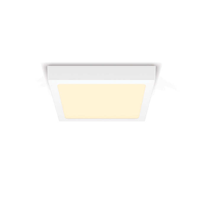 f9ae3fa1-8a22-46ba-a7a8-edb68718a396-afbeelding6.jpg (2278301) 