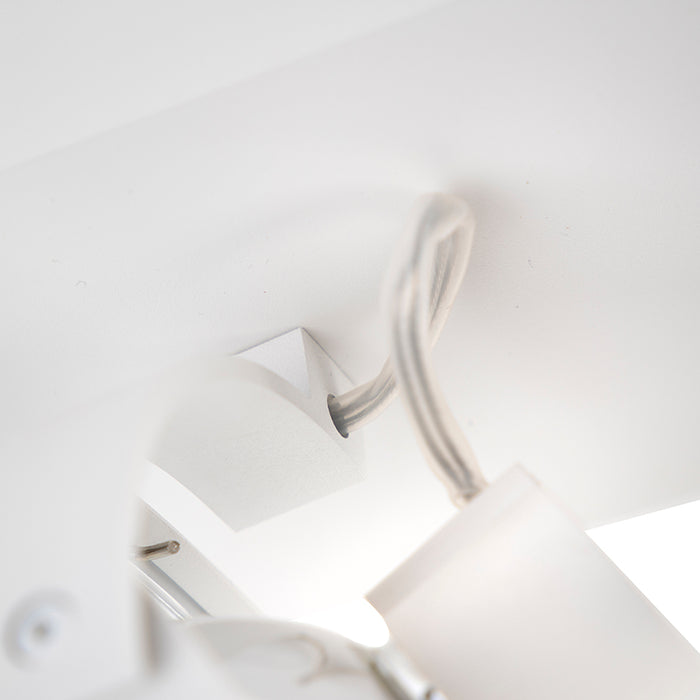 eef7bf2b-ec2c-4bf9-9f8e-4d5c967201eb-afbeelding10.jpg (2282881) 