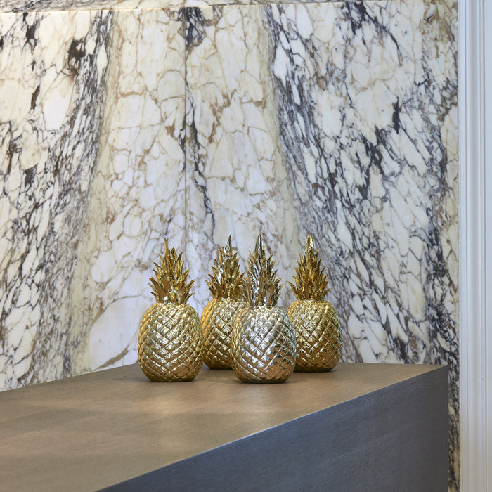 POLSPOTTEN Pineapple Decoratie
