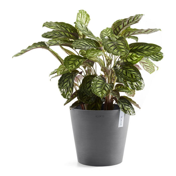 Ecopots Amsterdam 40